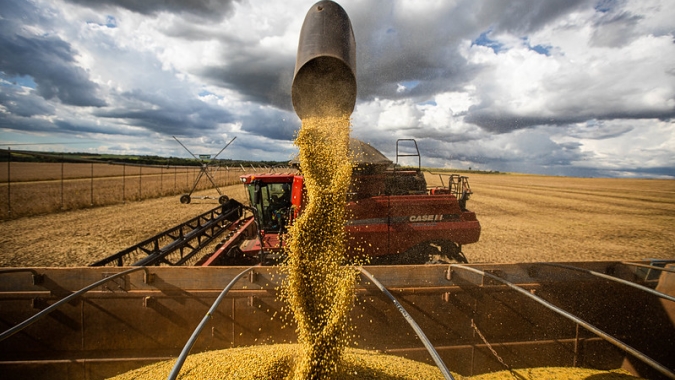 AgResource indica colheita da soja no Brasil em 92,05% da área