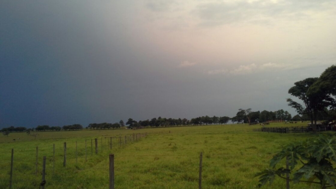 Para pecuarista do Brasil, baixa fertilidade do solo é maior desafio