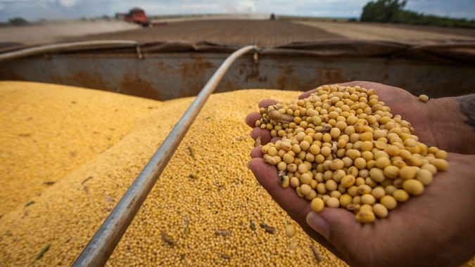 Brasil deve ter recorde na nova safra de soja apesar de custos, diz Pátria AgroNegócios