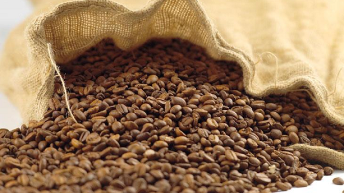Café/Cepea: Preço do arábica segue em alta