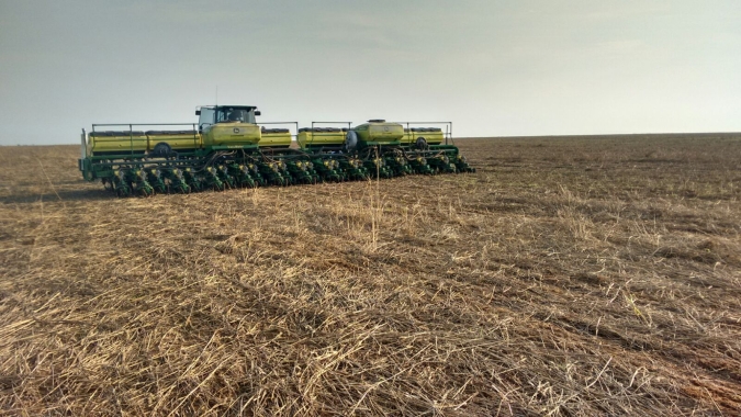 AgRural: Plantio de soja vai a 86% no Brasil em semana de chuvas esparsas no Sul
