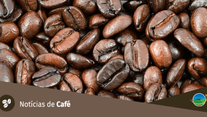 São 8 da manhã, a feira nem abriu, e lá vem a Emanuelly conhecer a nova cafeicultura