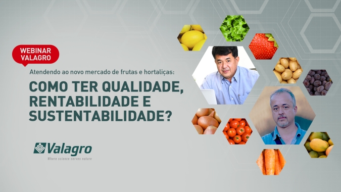 Atendendo ao novo mercado de frutas e hortaliças: qualidade, rentabilidade e sustentabilidade