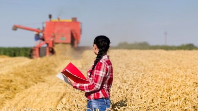 CNA promove debate sobre desafios e peculiaridades do agro no judiciário trabalhista
