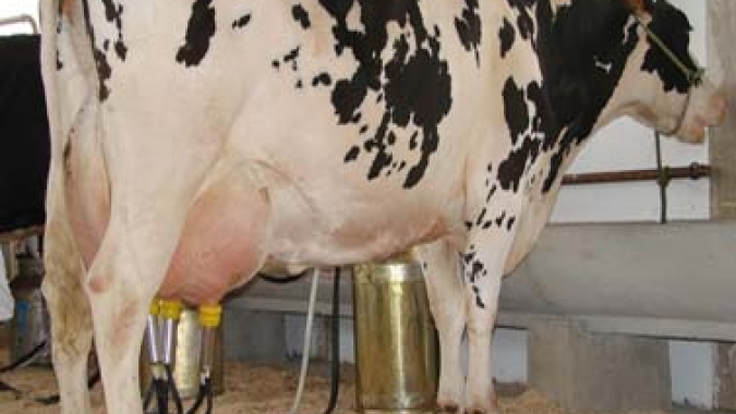 Estudo da Embrapa comprova que pecuária de leite no Brasil gera baixa emissão de carbono