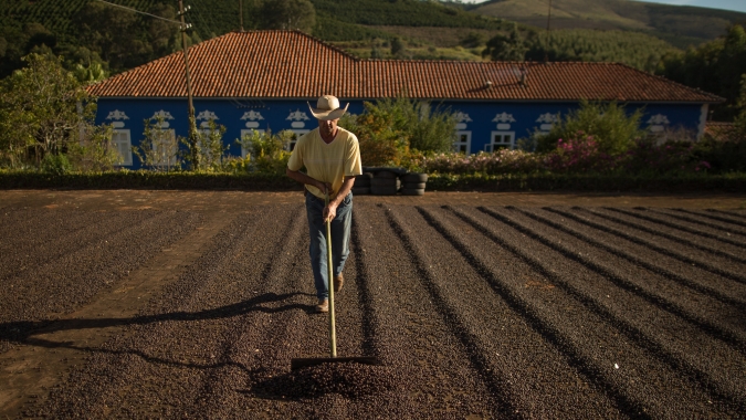 Arábica estende baixas com tempo seco no BR, mas conilon sobe com preocupação na oferta