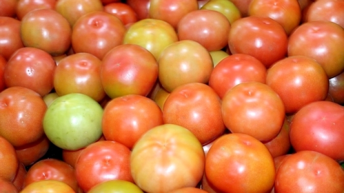 Tomate: com maior oferta de tomates manchados, preços caem