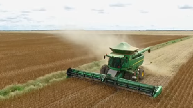 Colheita de soja do Brasil avança para 15% da área, diz AgRural