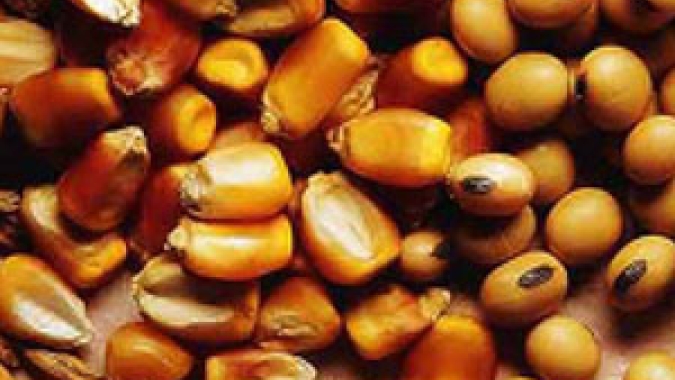 V Simpósio de Pós-Colheita traz novas perspectivas para expansão da cadeia produtiva de grãos