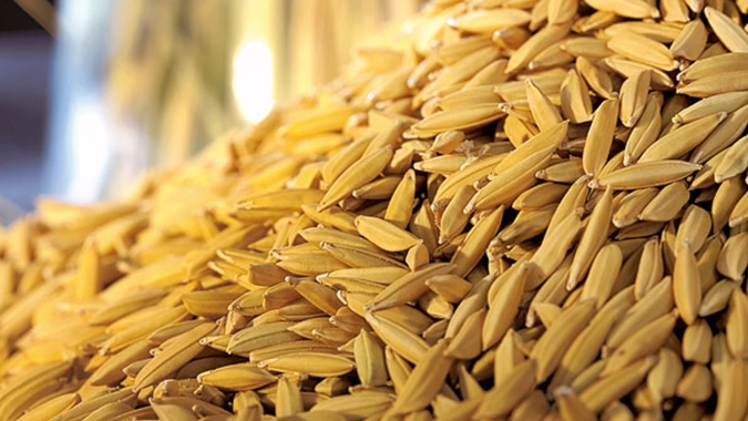 Preço mínimo do arroz sobe para R$ 68,07 no Sul