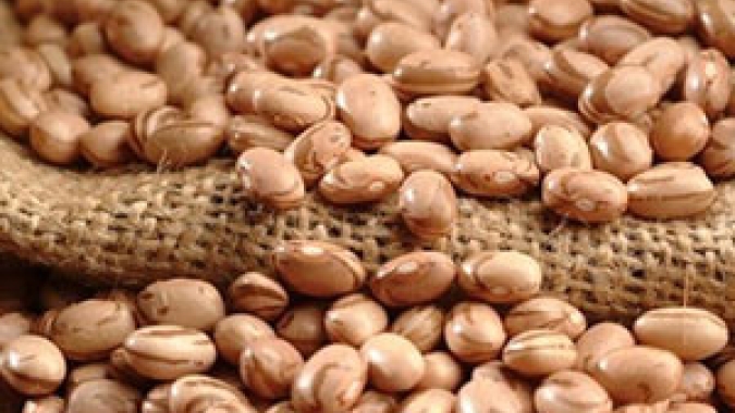 Ibrafe: Quanto Feijão-carioca teremos para consumo durante março?