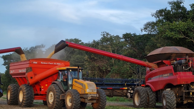 Soja/Cepea: Colheita se intensifica no BR; valores recuam