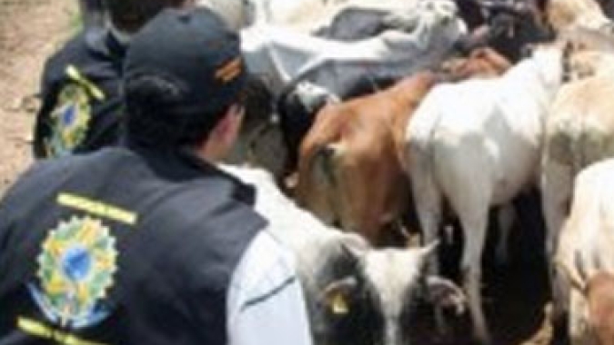 Portaria amplia número de localidades estratégicas para auditores agropecuários federais