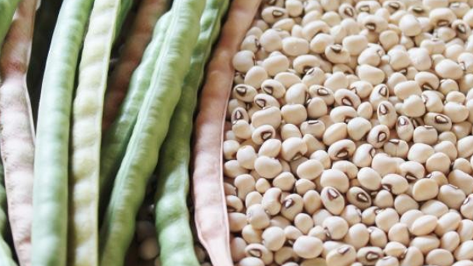 CNA divulga ações para incentivar o consumo de pulses no país
