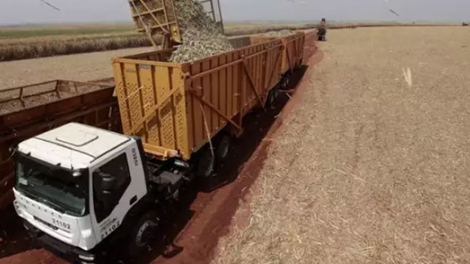 Conab coleta dados em usinas de cana-de-açúcar para levantamentos de safra