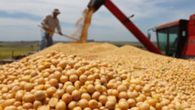 AgRural: Colheita de soja chega a 76% da área no Brasil