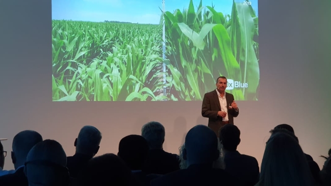 Exclusivo: Bayer fala ao NA sobre testes para milho menor e mais resistente