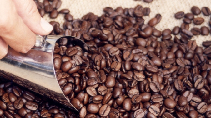Café: Preço do arábica avança nesta 3ª feira (03) sobre a perspectiva da quebra da safra 2025