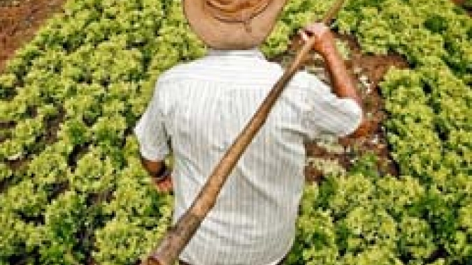 Garantia-Safra autoriza pagamento para mais de 82 mil agricultores familiares