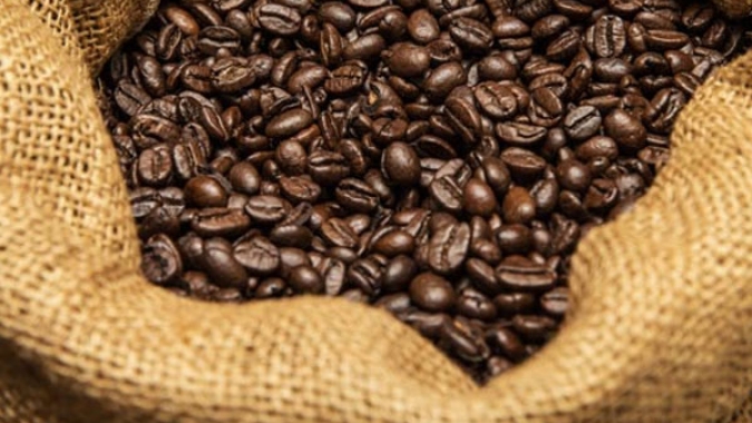 Cafeicultores buscam adiar regra da UE contra desmatamento