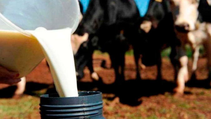 Preço do leite paro ao produtor cai pelo 3º mês seguido, mesmo com menor captação