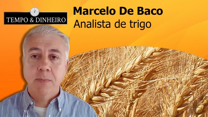 Marcelo De Baco: Clima e liquidações técnicas carregam os preços do trigo para as baixas....