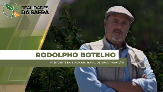 Chuva e frio já vinham afetando soja de Guarapuava/PR e final de semana trouxe ainda mais precipitações