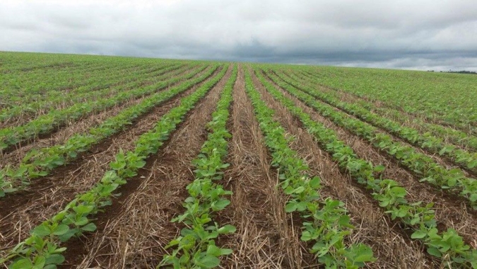 Mapa e Embrapa lançam o Prêmio Sistemas Agrícolas Tradicionais do Semiárido
