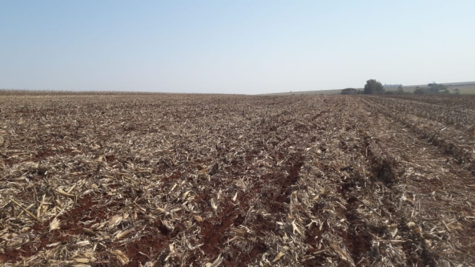 Do clima à logística, produtores iniciam plantio com alto grau de incerteza