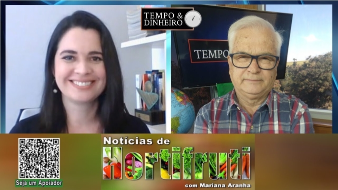 Preços do leite registram uma leve alta. Mas o tomate recua para o produtor, mostra Mariana Aranha