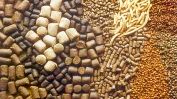 ABCS lança série de materiais técnicos sobre Fábrica de Ração