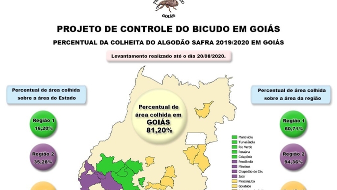 Goiás já colheu 81% de toda a safra de algodão