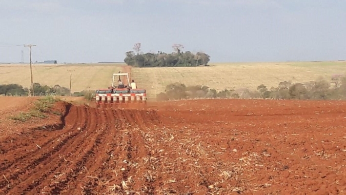 Paraná: Novo instituto fortalece sistema estadual de agricultura