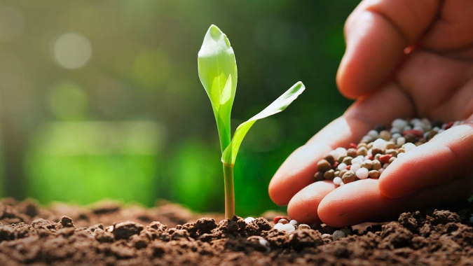 Aprosoja/MS avalia fertilizantes que serão utilizados na safra 2020/21
