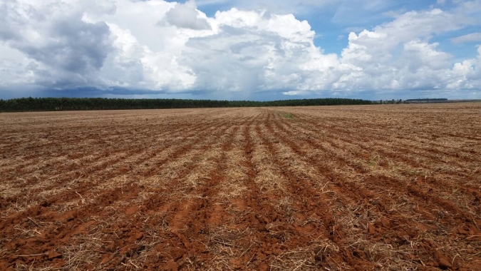 Falta de chuvas já dura 10 dias em Goiás e preocupa para o milho safrinha