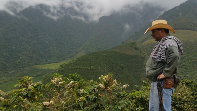 Com impasses na logística e onda de protestos, exportações de café colombiano caem 52% em maio