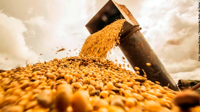 Produtividade de soja em Sinop-MT um pouco abaixo do esperado, mas dentro da normalidade