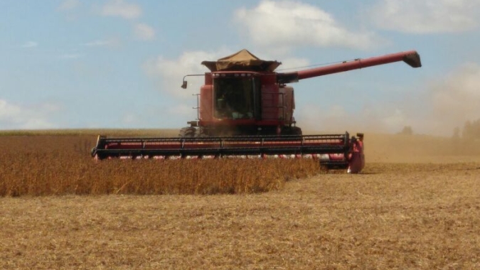 Com colheita de soja em 16% da área no Brasil, alerta agora é no Sul