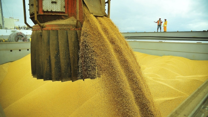 Agronegócio paulista registra US$ 8 bilhões de superávit em cinco meses