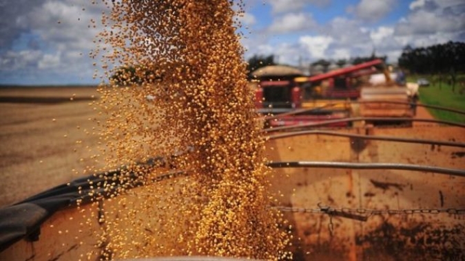 Plantio de soja chega a 89,7% na Argentina