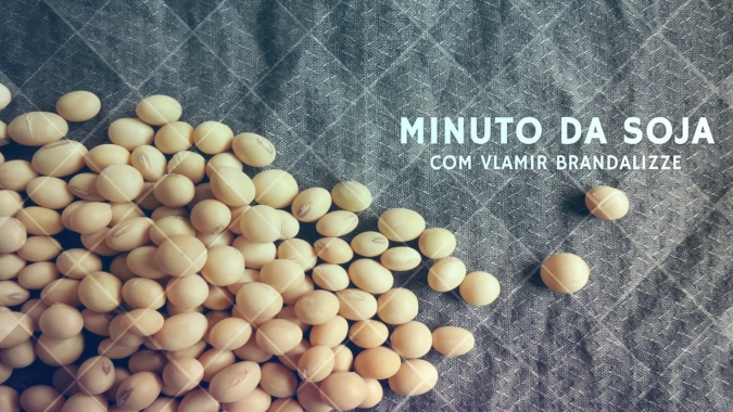 Mercado da soja busca o patamar de US$ 9, confira a análise de Vlamir Brandalizze no Tempo&Dinheiro