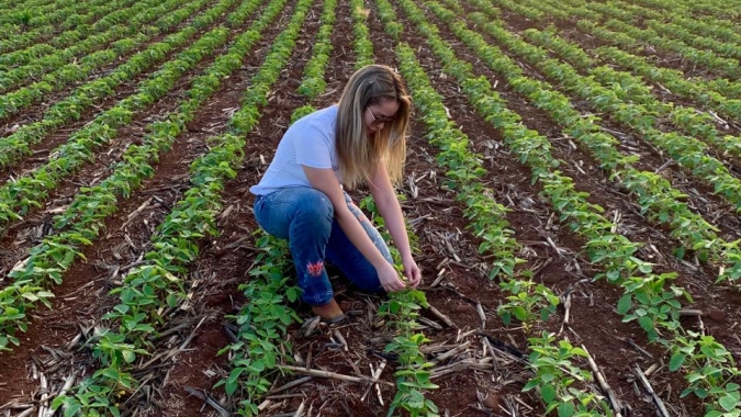Área a ser colhida em 2020 é de 64,4 milhões de hectares, diz IBGE