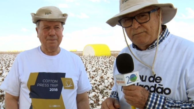No algodão, estamos dando de 2 x 0 nos americanos... graças ao capricho e à certificação