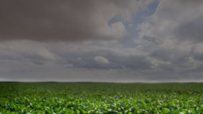Ação climática e agricultura sustentável para salvar o planeta, por FAO América Latina e Caribe