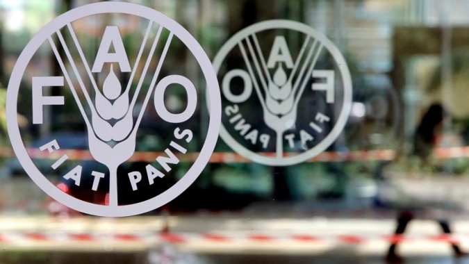 Preços mundiais dos alimentos atingem maior nível em 3 anos em julho, diz FAO