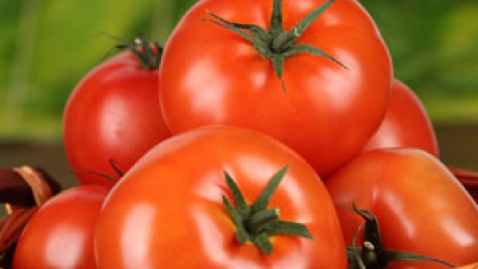 Tomate/Cepea: Pela terceira semana seguida, tomate se desvaloriza