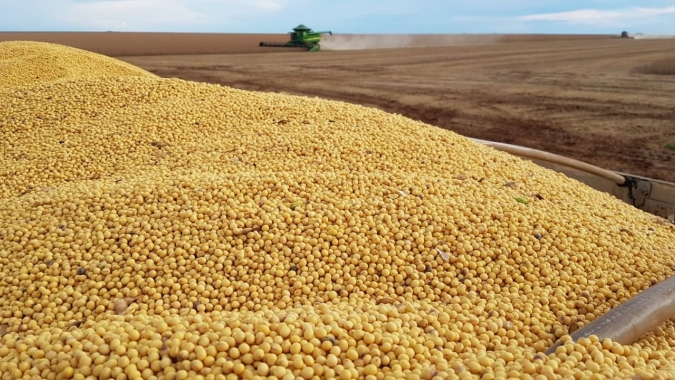 Anec fecha parceria com GMP+ para certificação de segurança alimentar