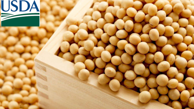 USDA: Estoques trimestrais de soja e milho dos EUA ficam dentro das expectativas do mercado
