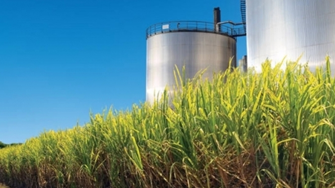 Cenário positivo para açúcar em NY não muda, apesar de queda no dia, vê analista da Datagro