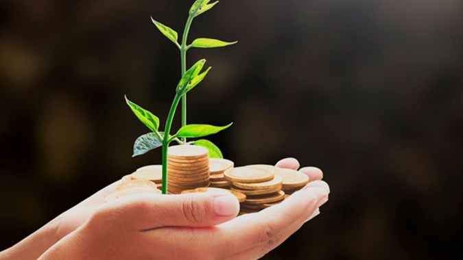 IPPA/Cepea: IPPA tem 1º queda do ano em junho